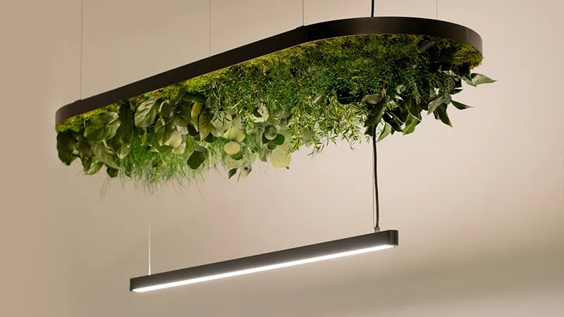 Greenmood Hoverlight - Presentation Media