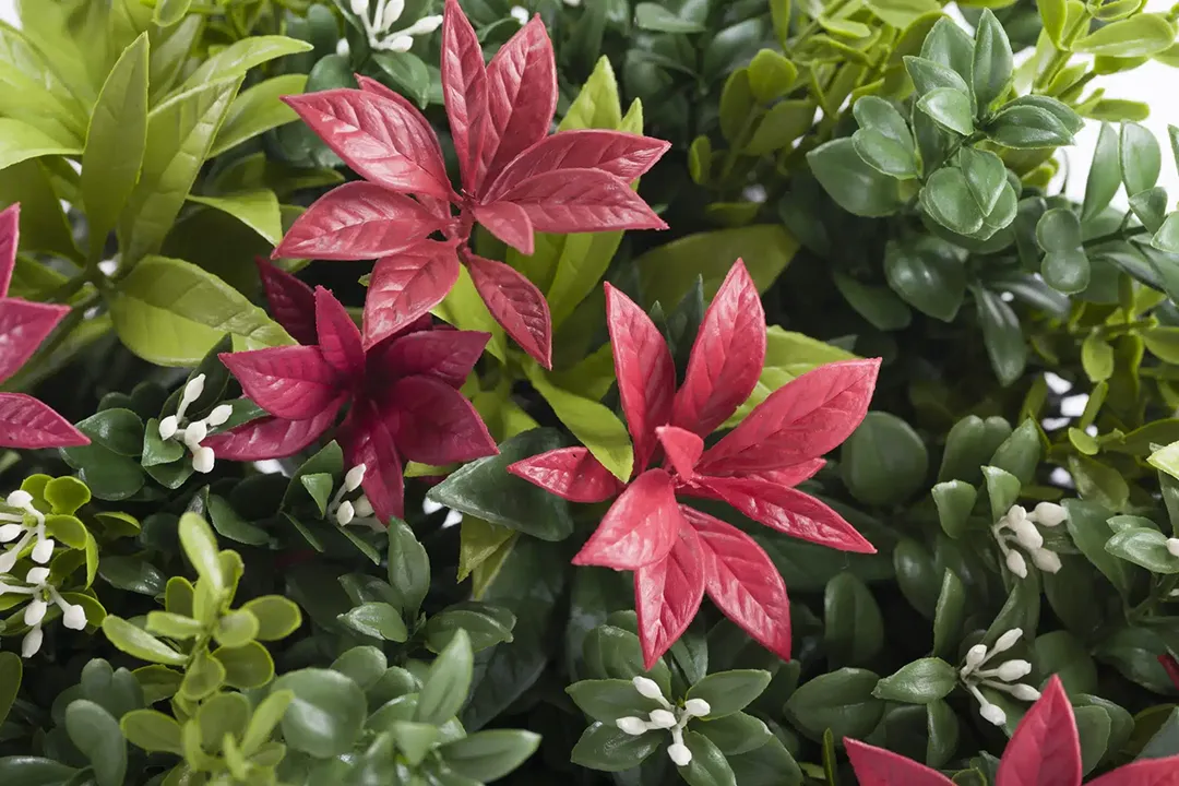 Vistafolia Forest Flame Colour Box - Presentation Media